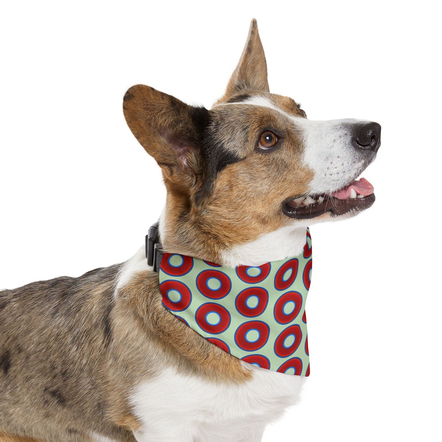Jim's Lumpy Bandana Pet Collar - vivid red donuts w/seafoam background