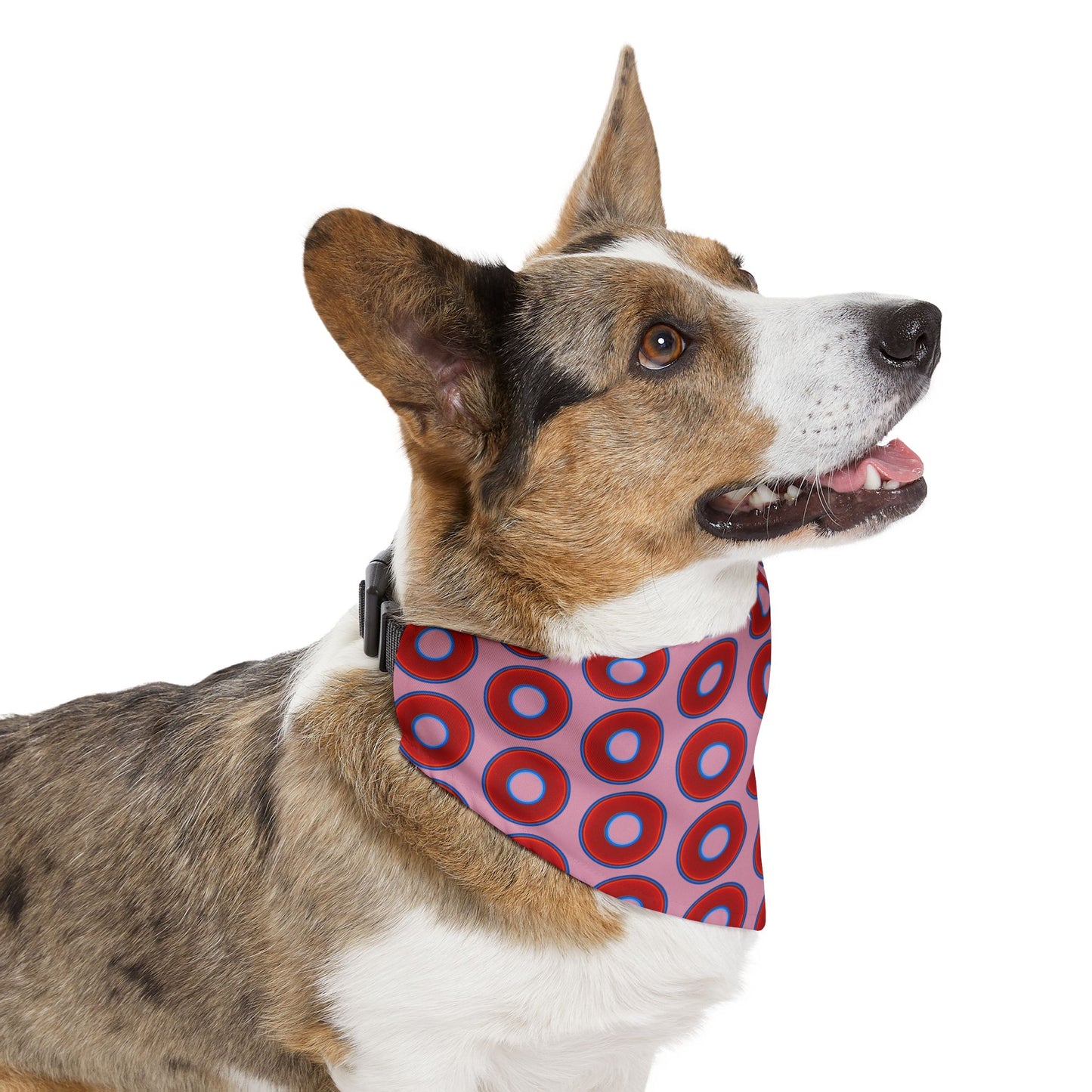 Jim's Lumpy Bandana Pet Collar - vivid red donuts w/pale magenta background