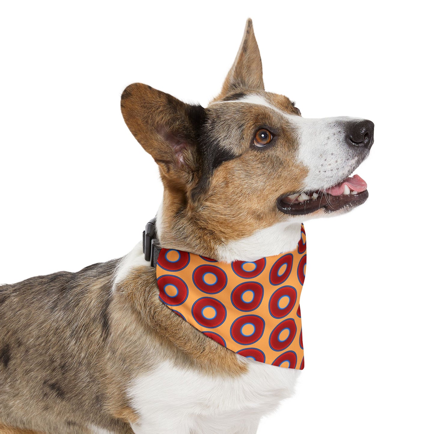Jim's Lumpy Bandana Pet Collar - vivid red donuts w/creamsicle orange background