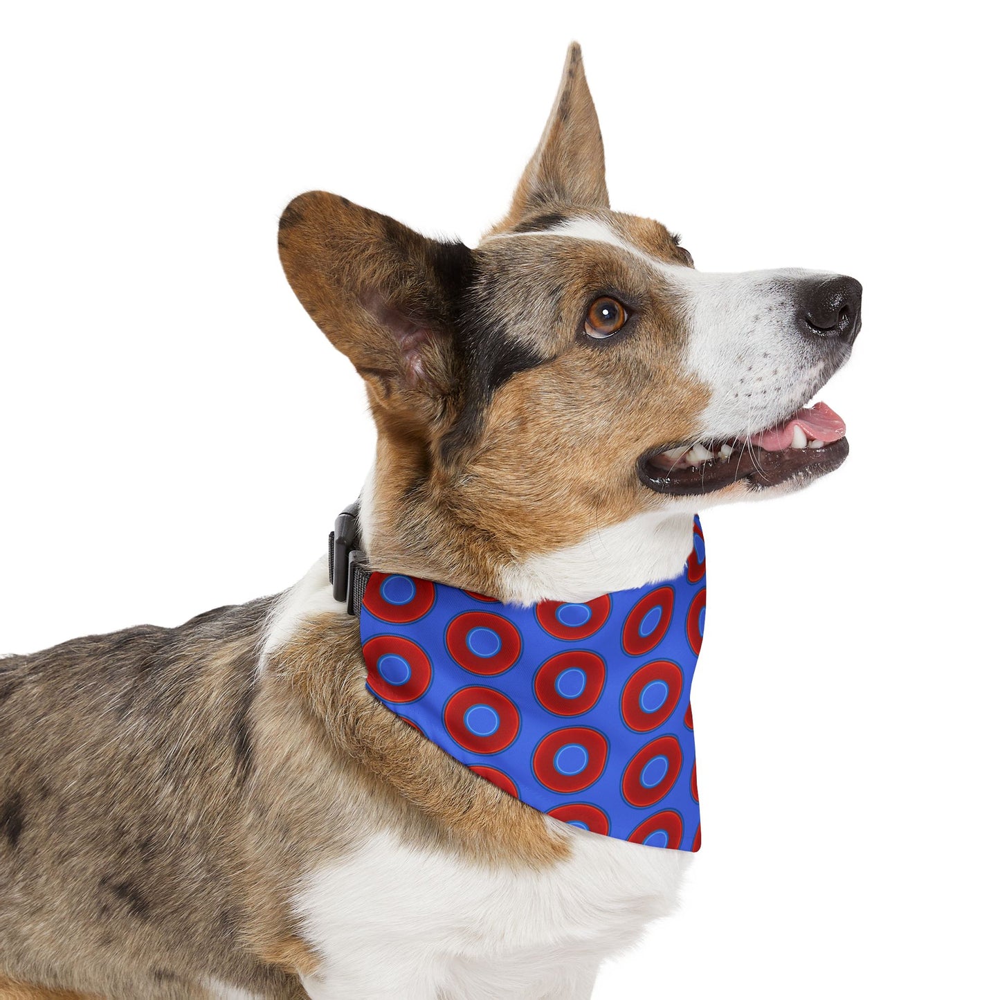 Jim's Lumpy Bandana Pet Collar - vivid red donuts w/royal blue background