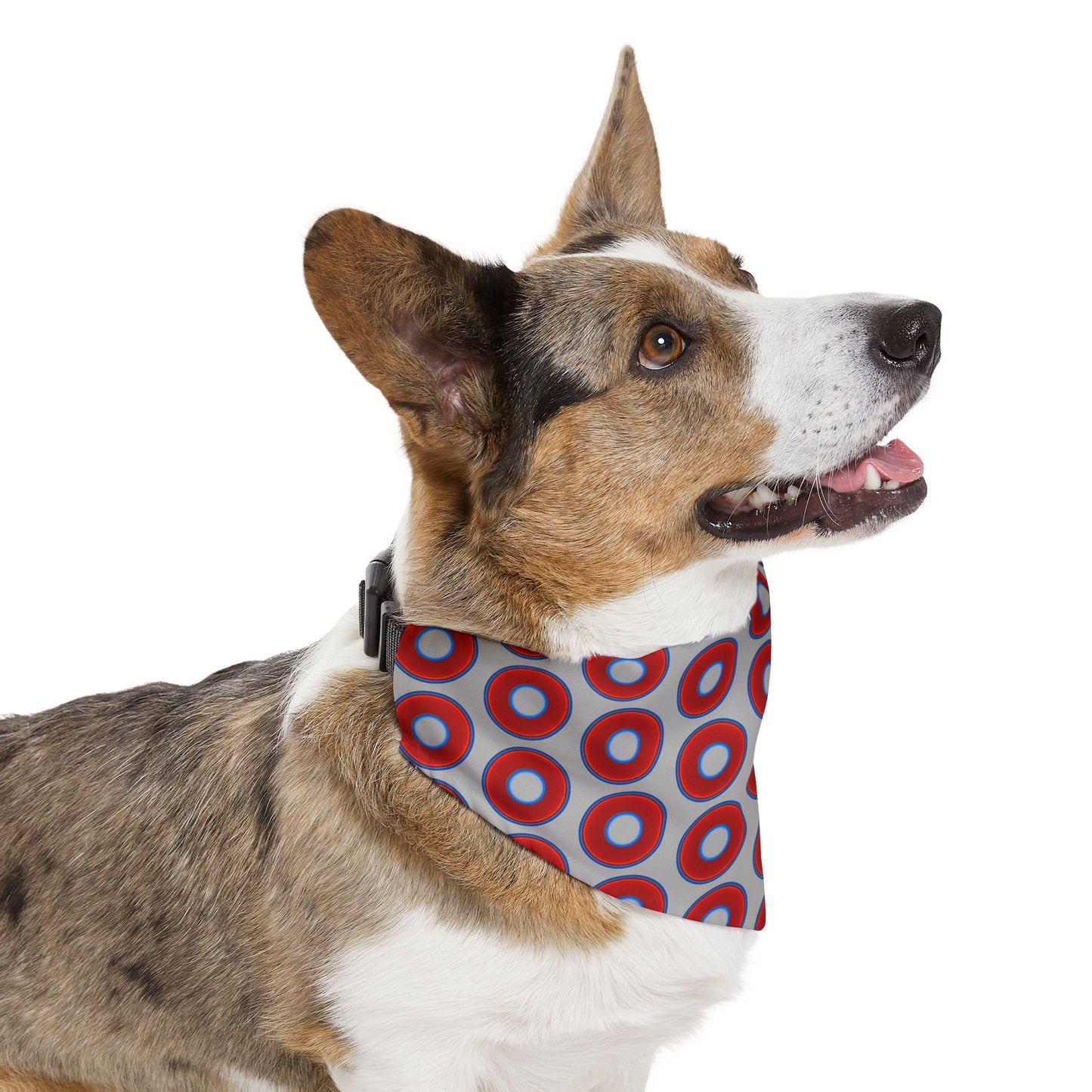 Jim's Lumpy Bandana Pet Collar - vivid red donuts w/light gray background