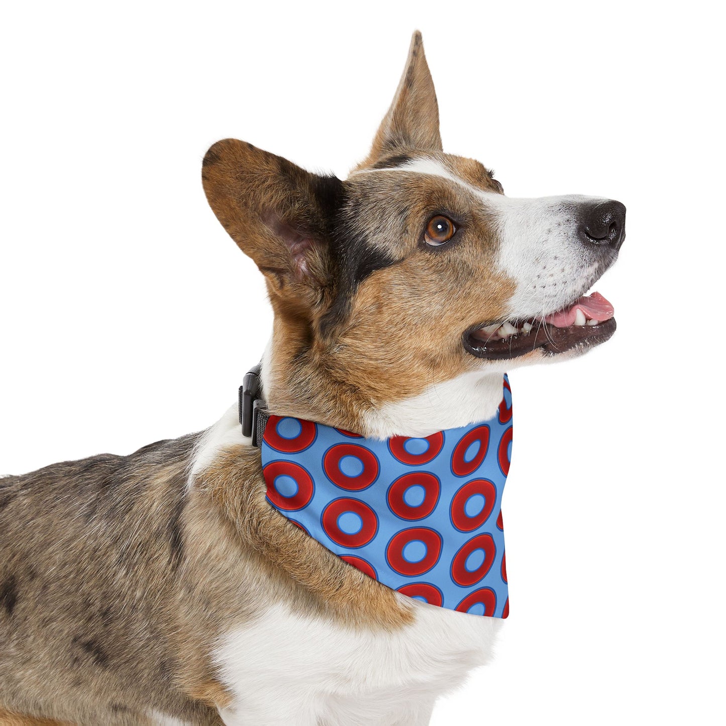 Jim's Lumpy Bandana Pet Collar - vivid red donuts w/light blue background