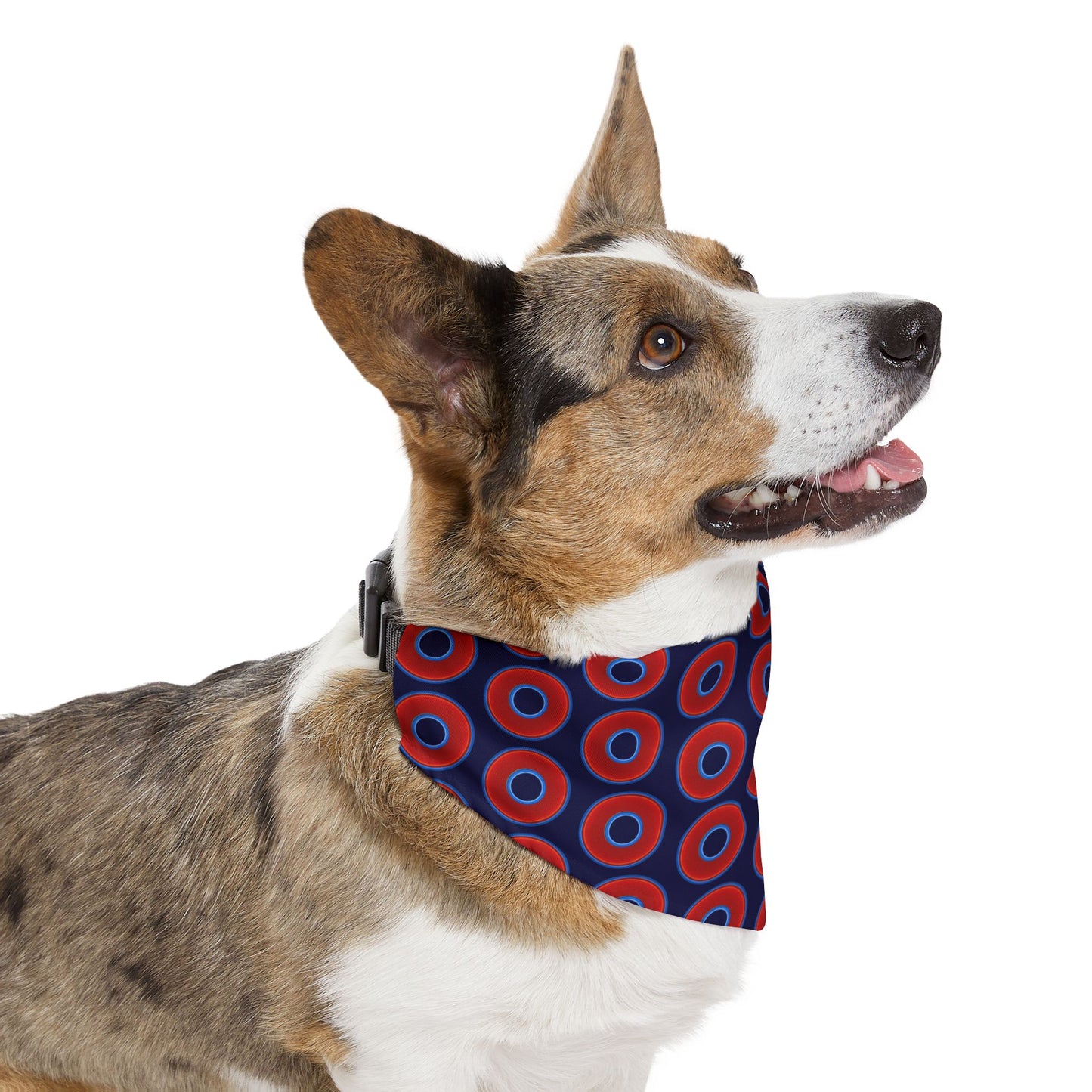 Jim's Lumpy Bandana Pet Collar - vivid red donuts w/midnight blue background