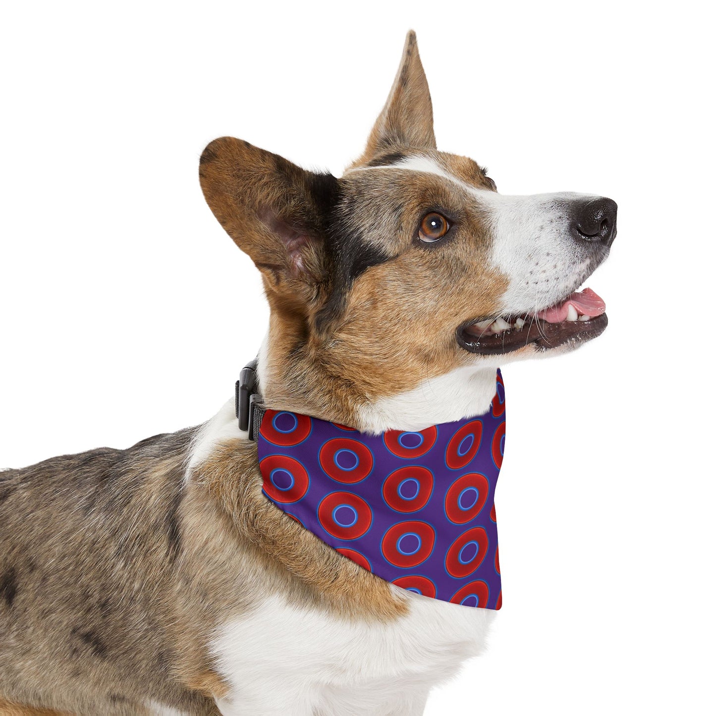 Jim's Lumpy Bandana Pet Collar - vivid red donuts w/purple background