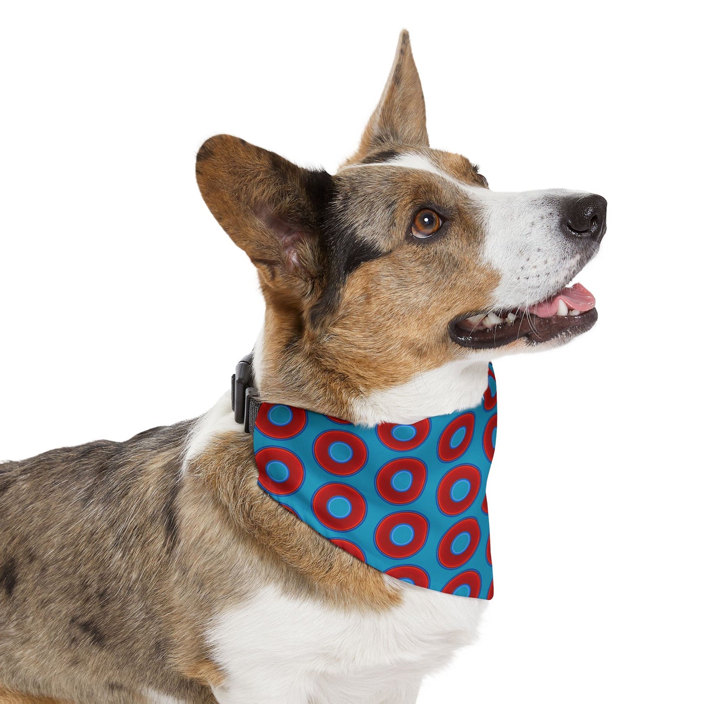Jim's Lumpy Bandana Pet Collar - vivid red donuts w/aquamarine blue background