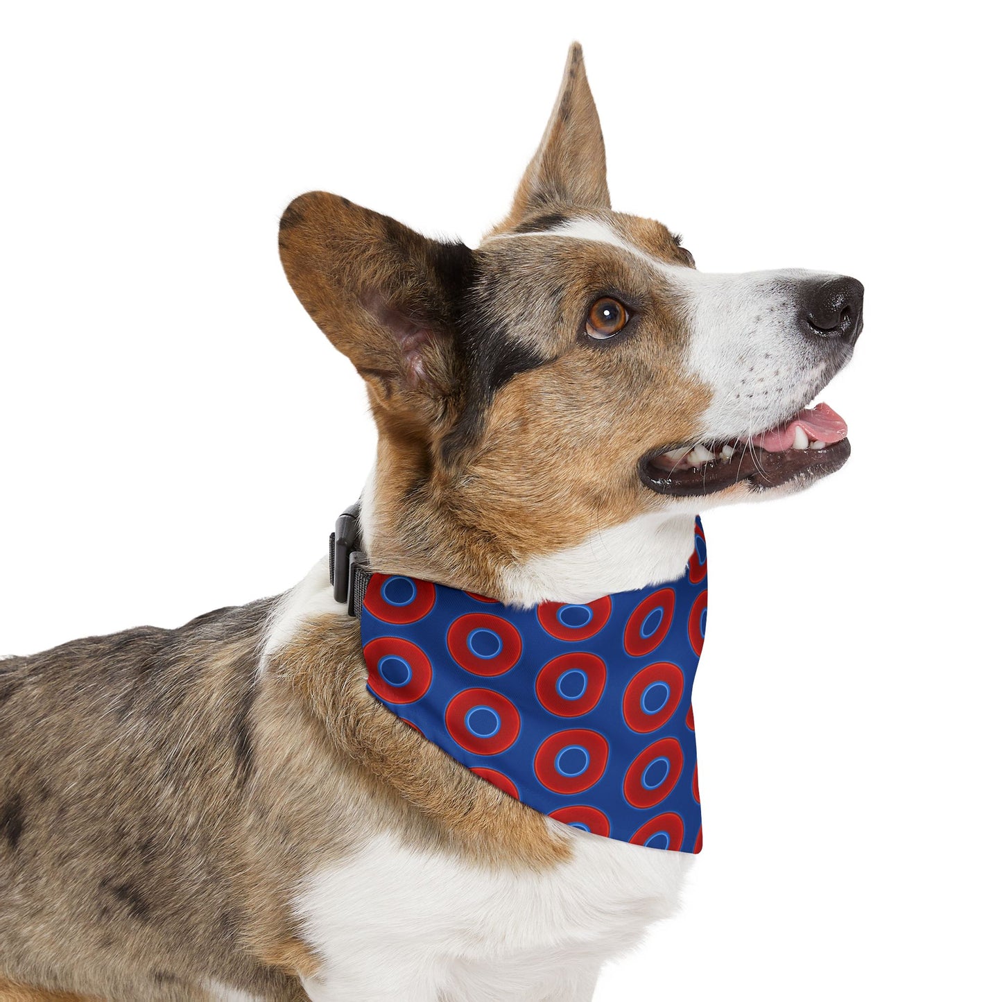 Jim's Lumpy Bandana Pet Collar - vivid red donuts w/dark blue background