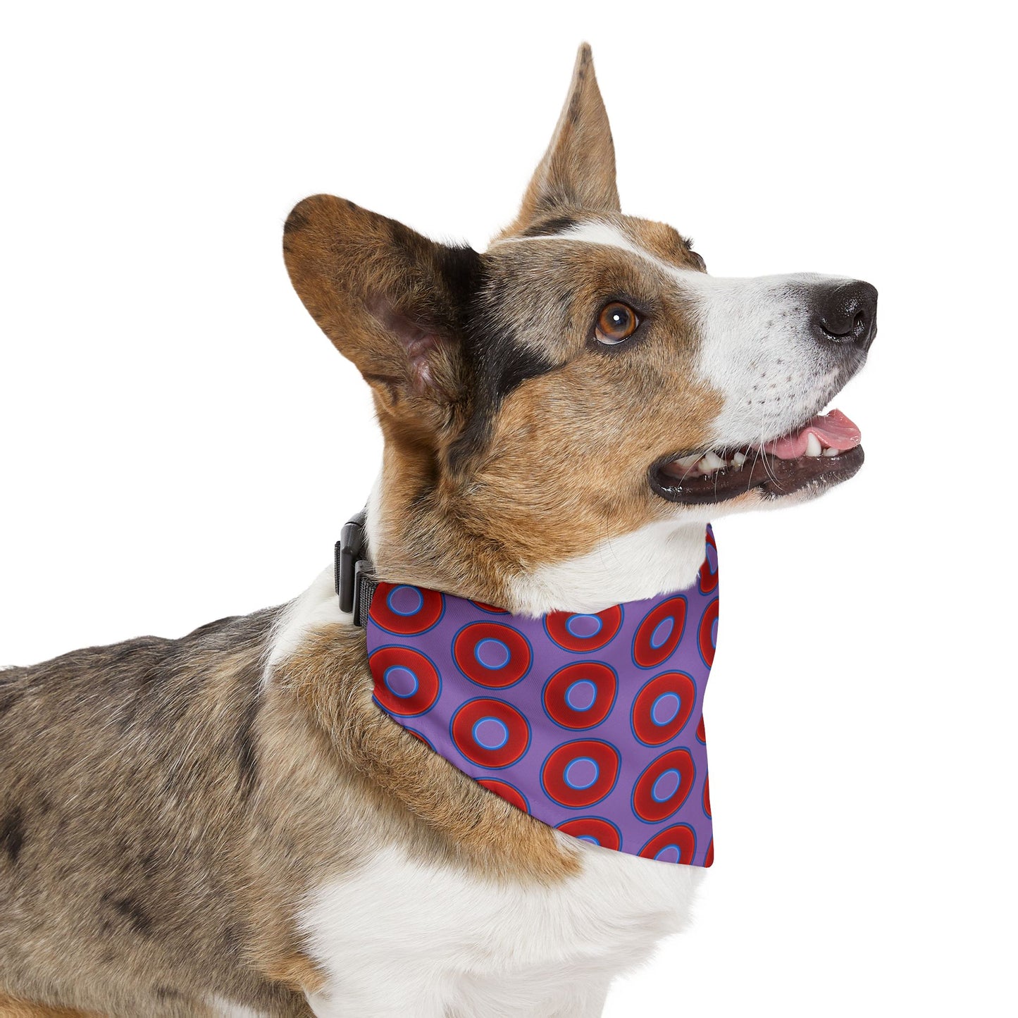 Jim's Lumpy Bandana Pet Collar - vivid red donuts w/light purple background