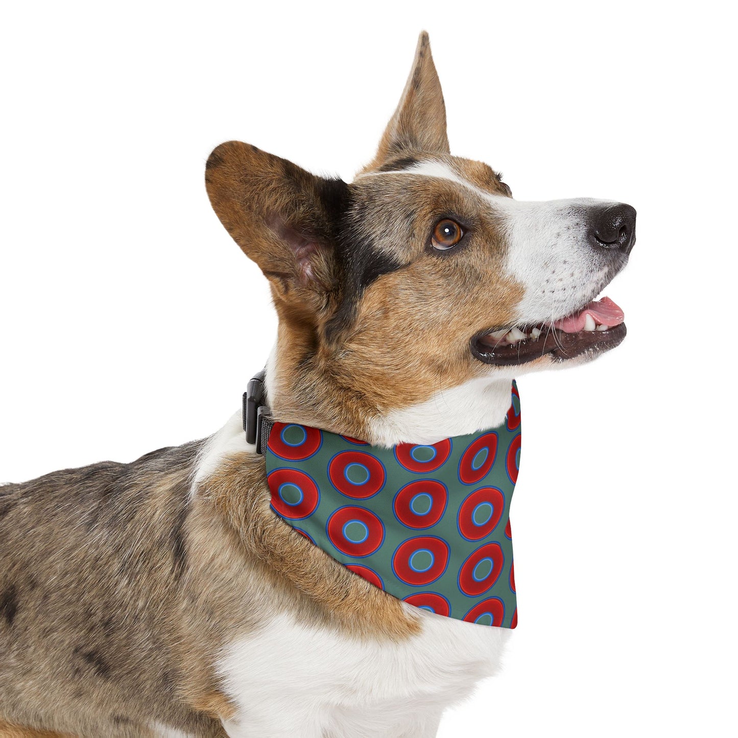 Jim's Lumpy Bandana Pet Collar - vivid red donuts w/Fenway green background