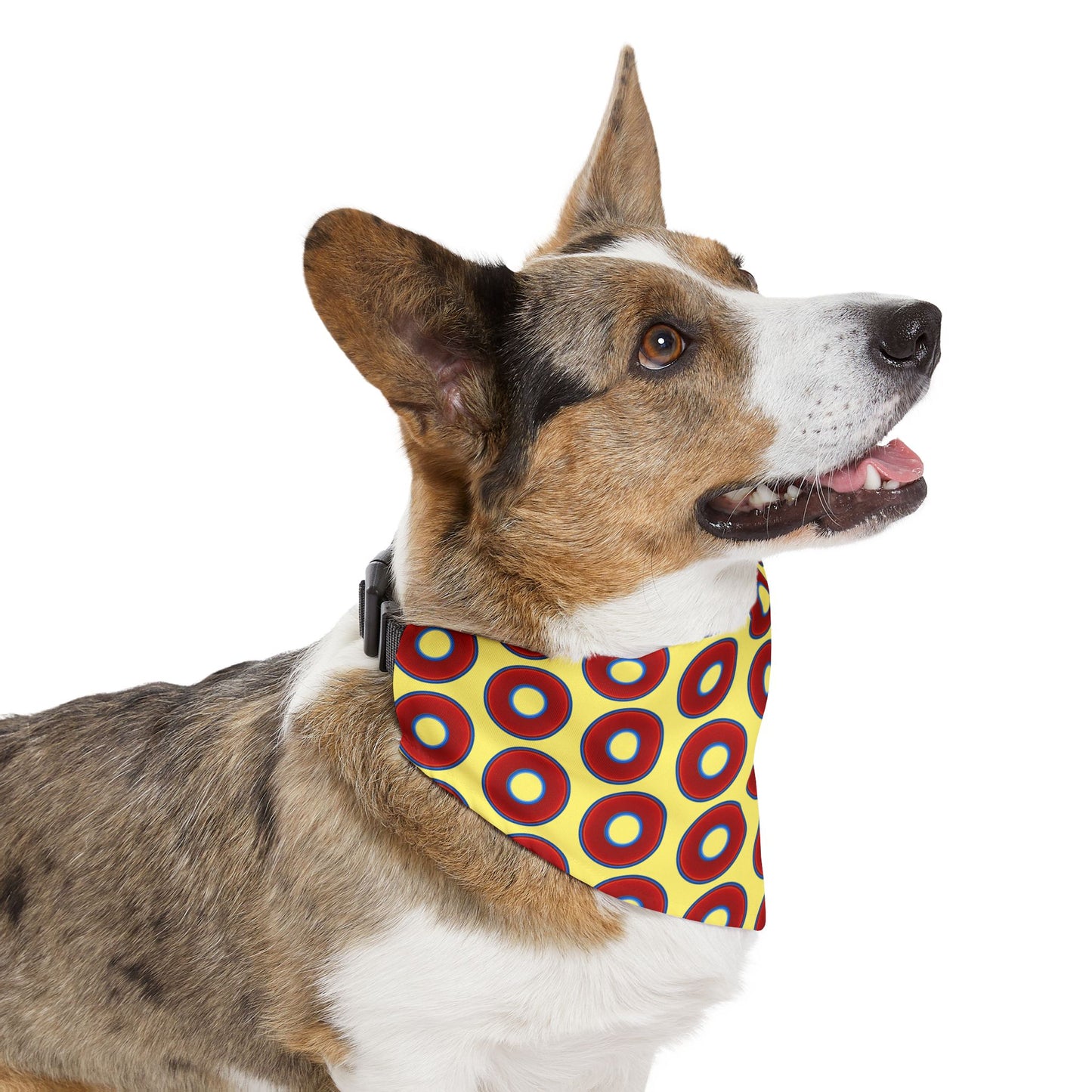 Jim's Lumpy Bandana Pet Collar - vivid red donuts w/yellow background