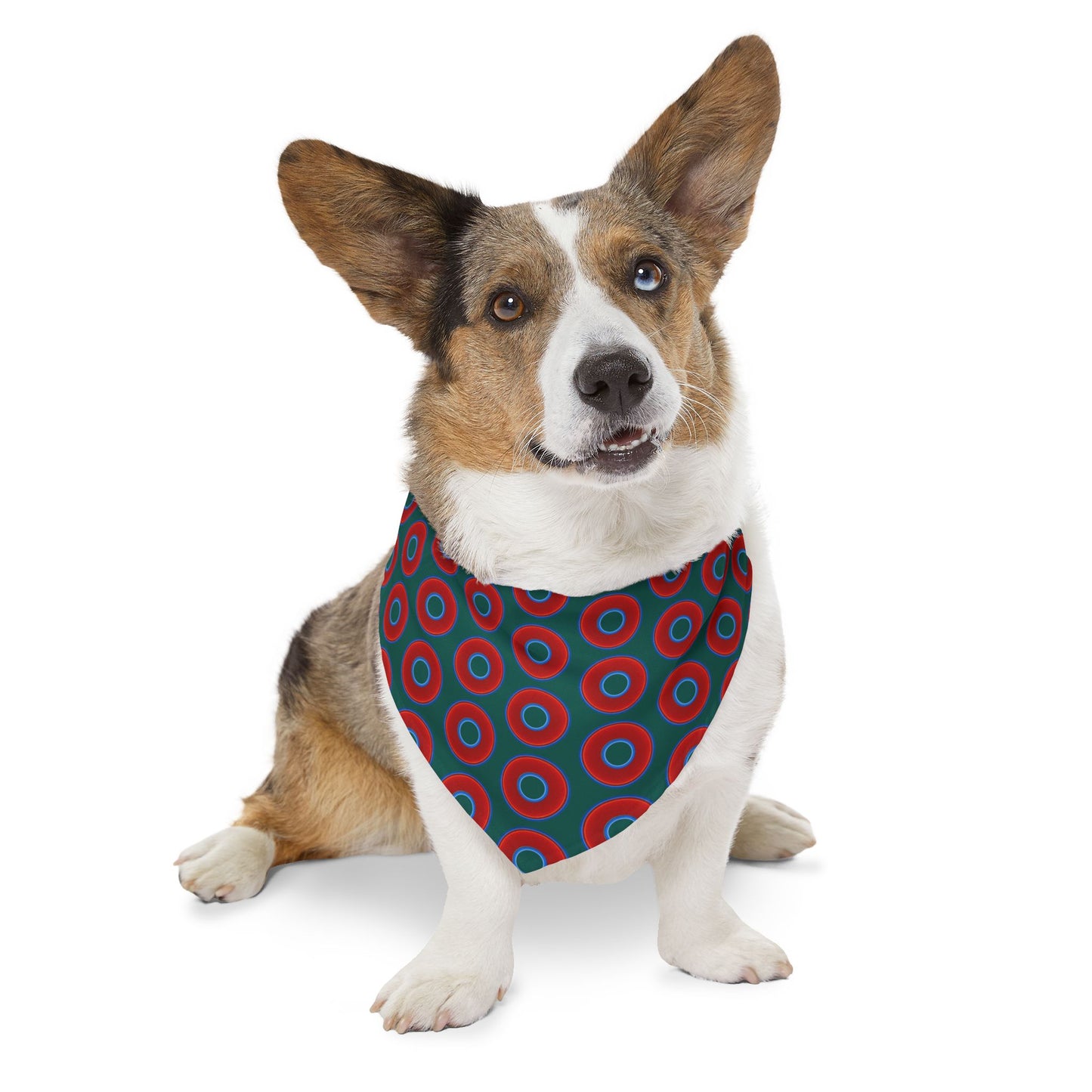 Jim's Lumpy Bandana Pet Collar - vivid red donuts w/dark Fenway green background