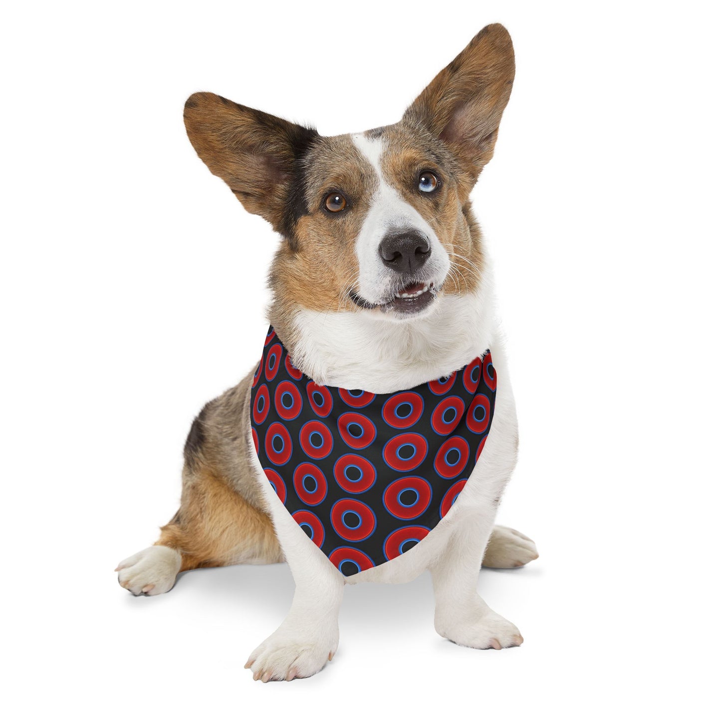 Jim's Lumpy Bandana Pet Collar - vivid red donuts w/black backgound