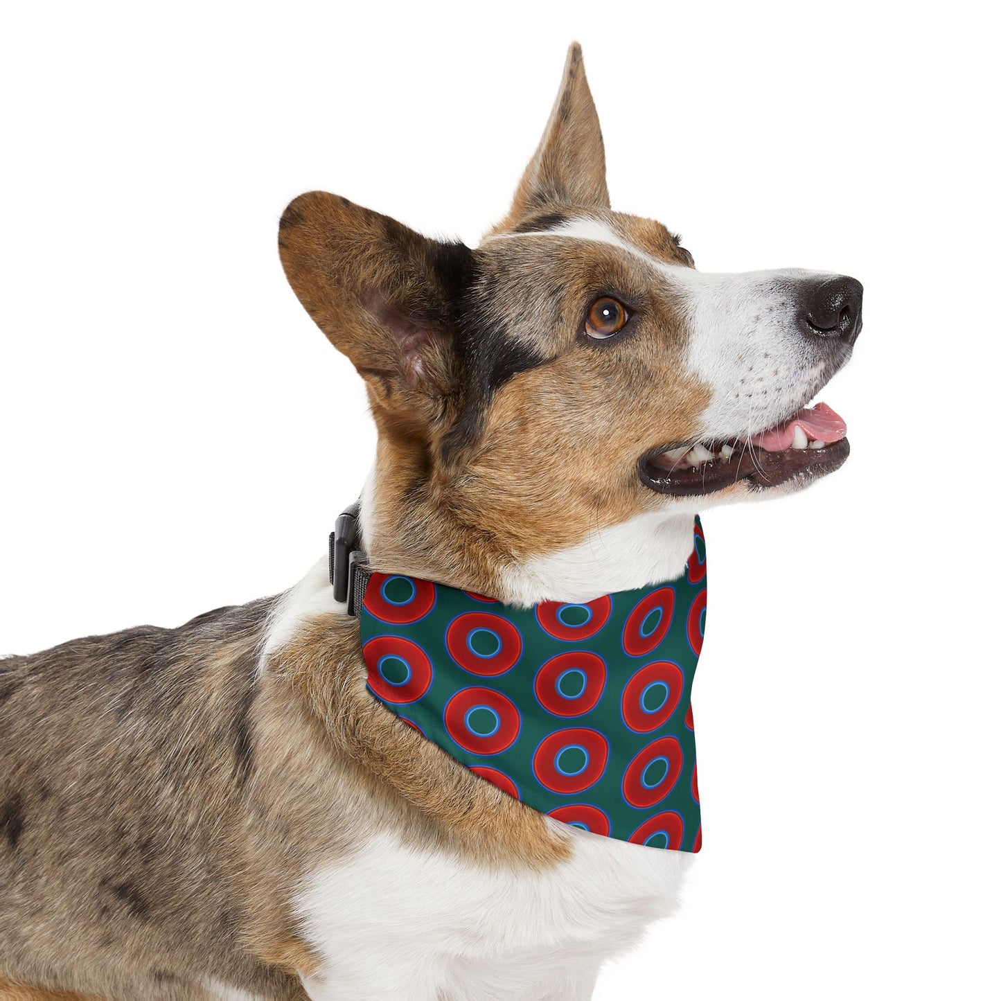 Jim's Lumpy Bandana Pet Collar - vivid red donuts w/dark Fenway green background