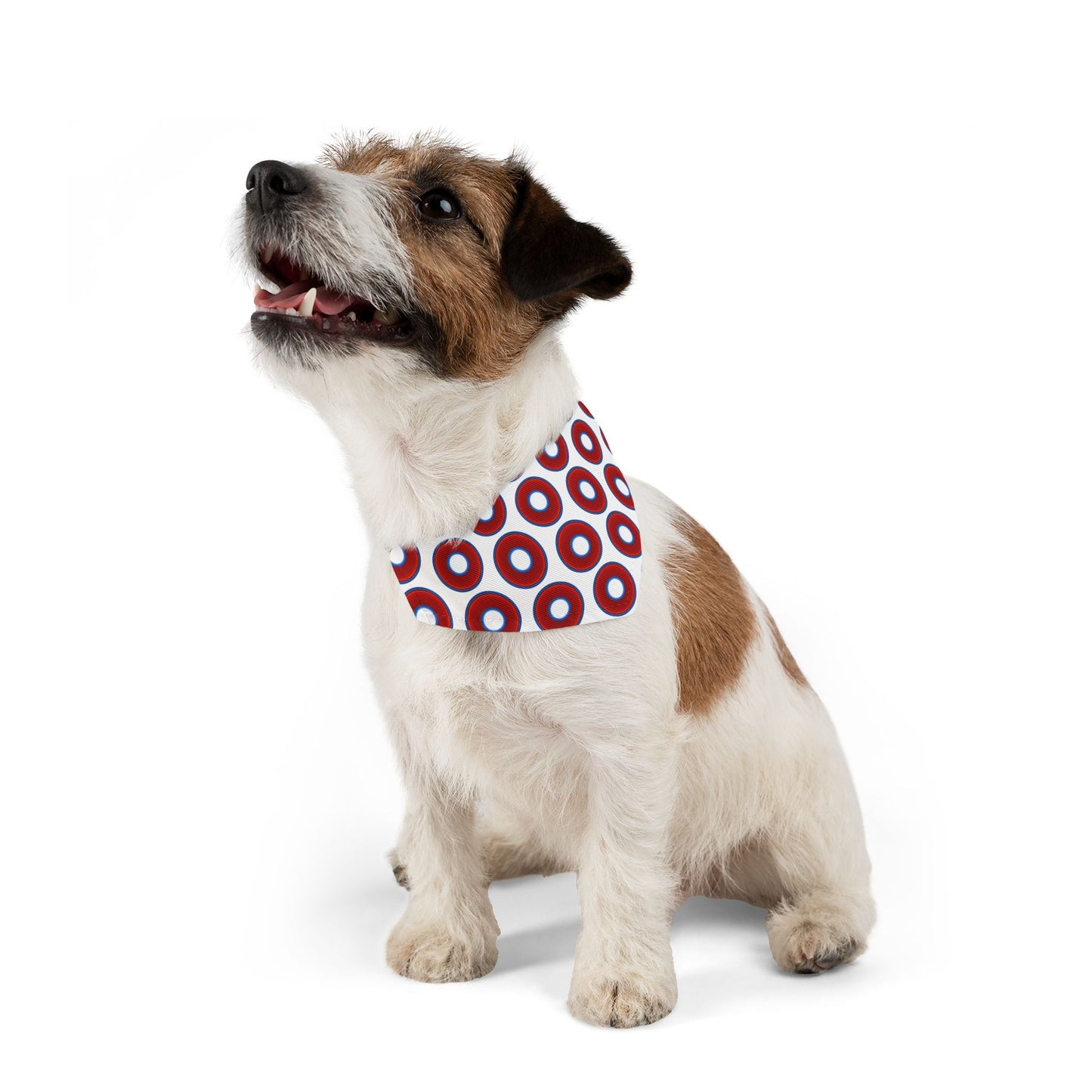 Jim's Lumpy Bandana Pet Collar - vivid red donuts w/white background