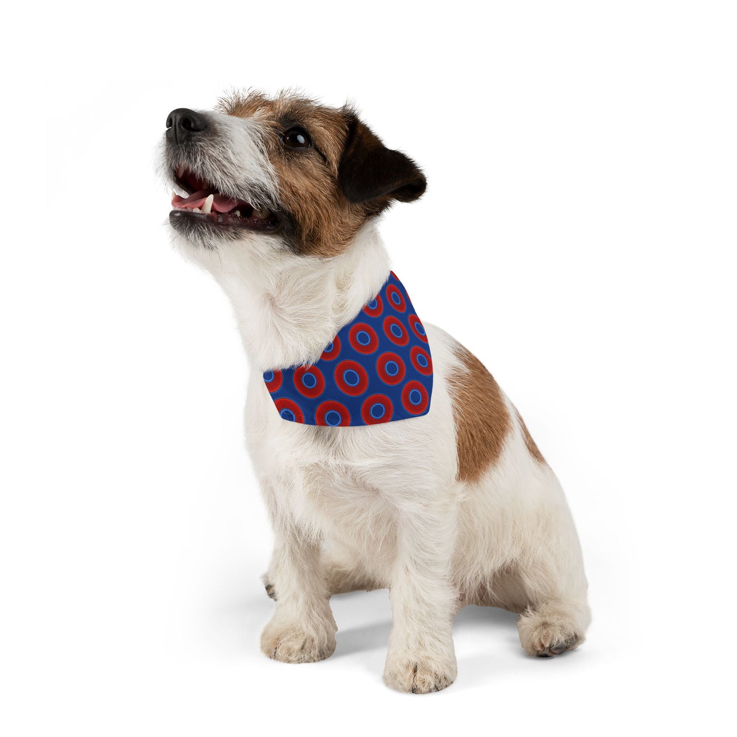 Jim's Lumpy Bandana Pet Collar - vivid red donuts w/dark blue background