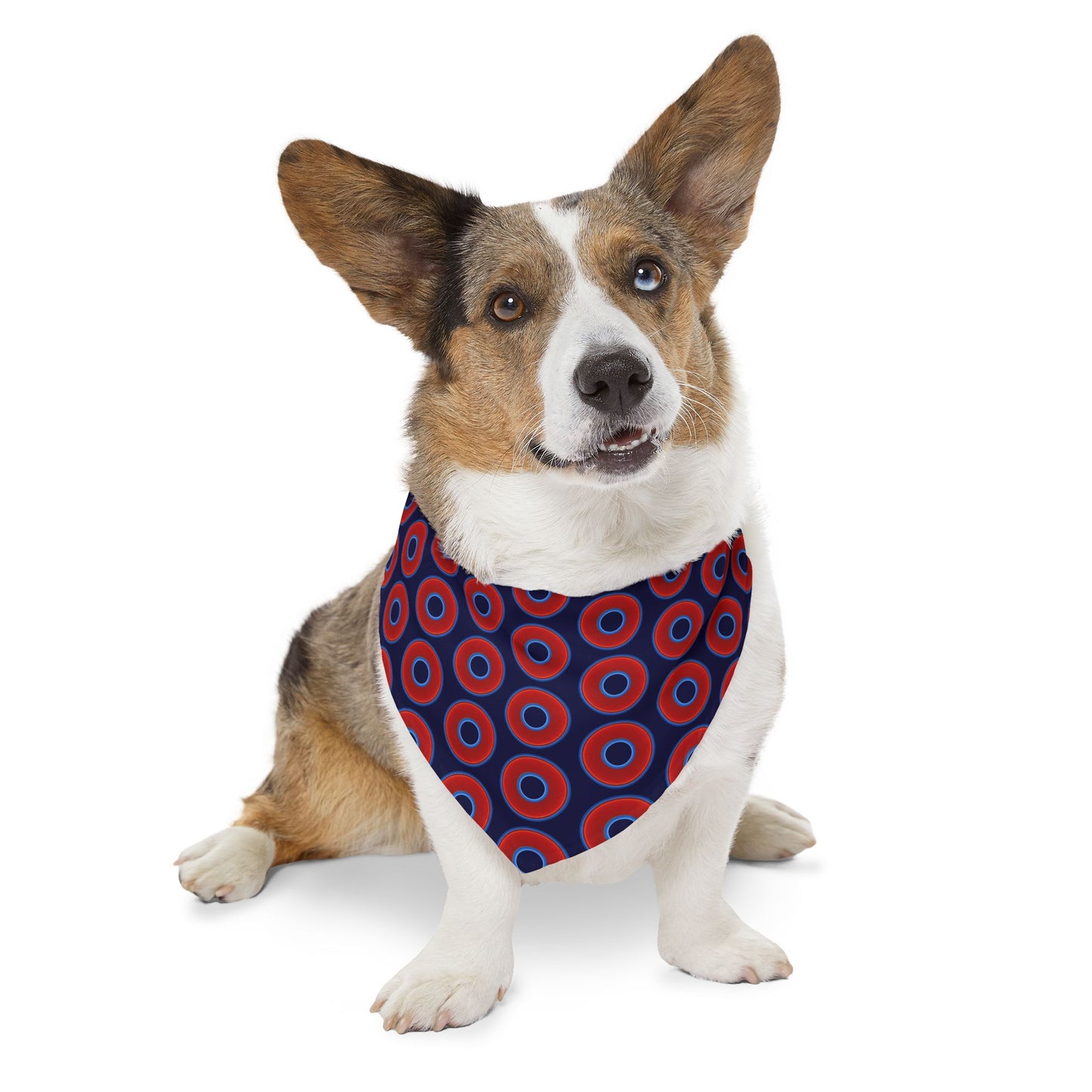 Jim's Lumpy Bandana Pet Collar - vivid red donuts w/midnight blue background