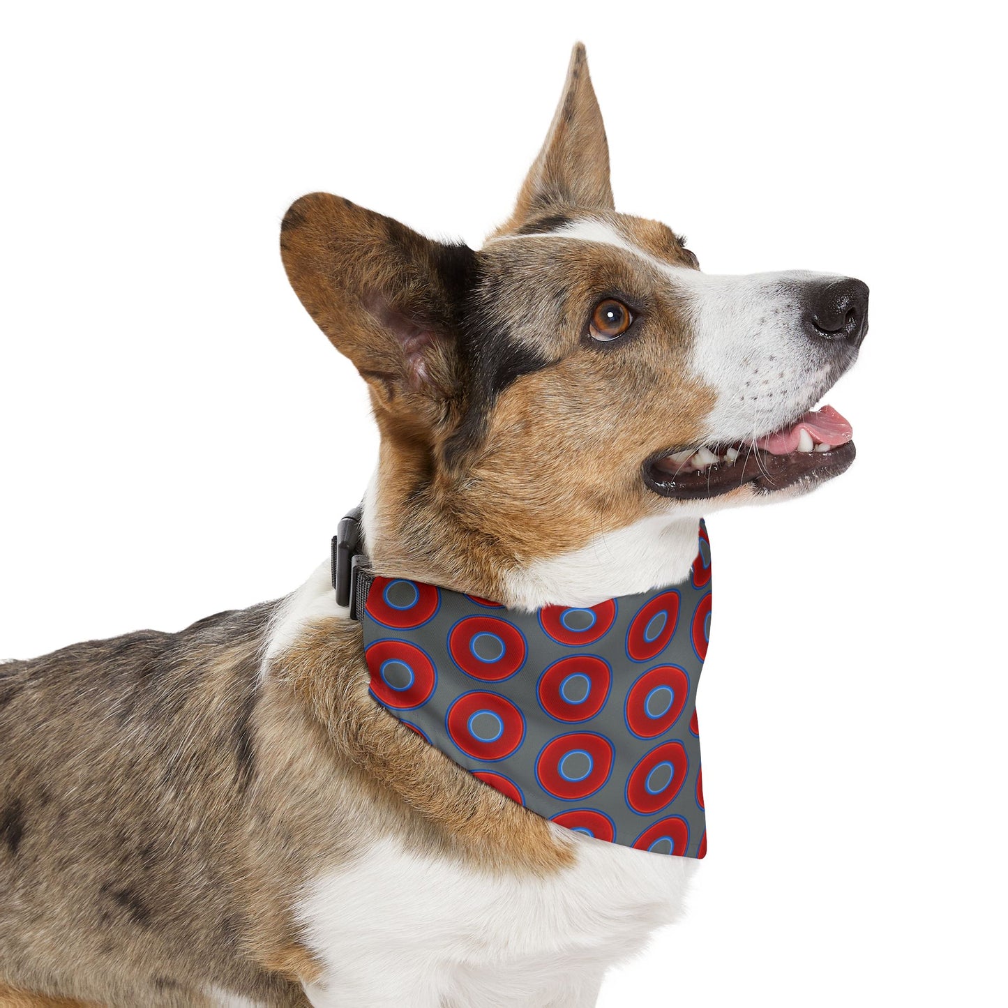 Jim's Lumpy Bandana Pet Collar - vivid red donuts w/dark gray background