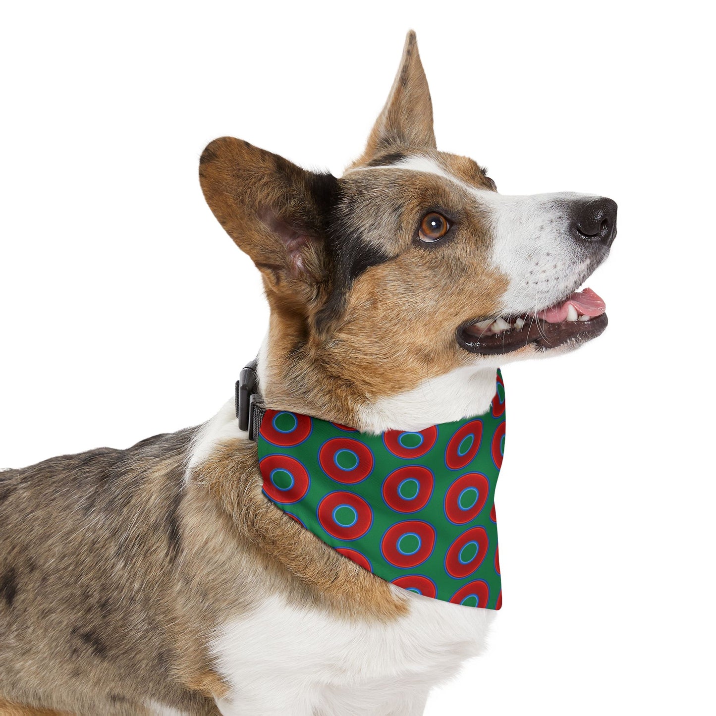 Lumpy Bandana Pet Collar - vivid red donuts w/green background