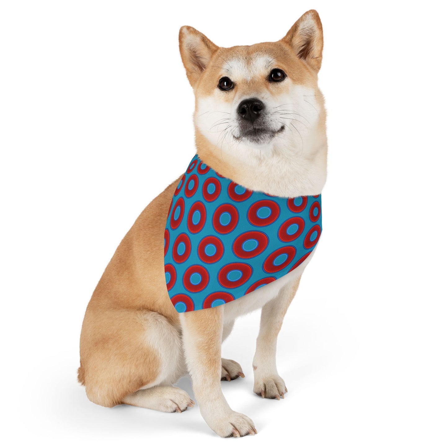 Jim's Lumpy Bandana Pet Collar - vivid red donuts w/aquamarine blue background