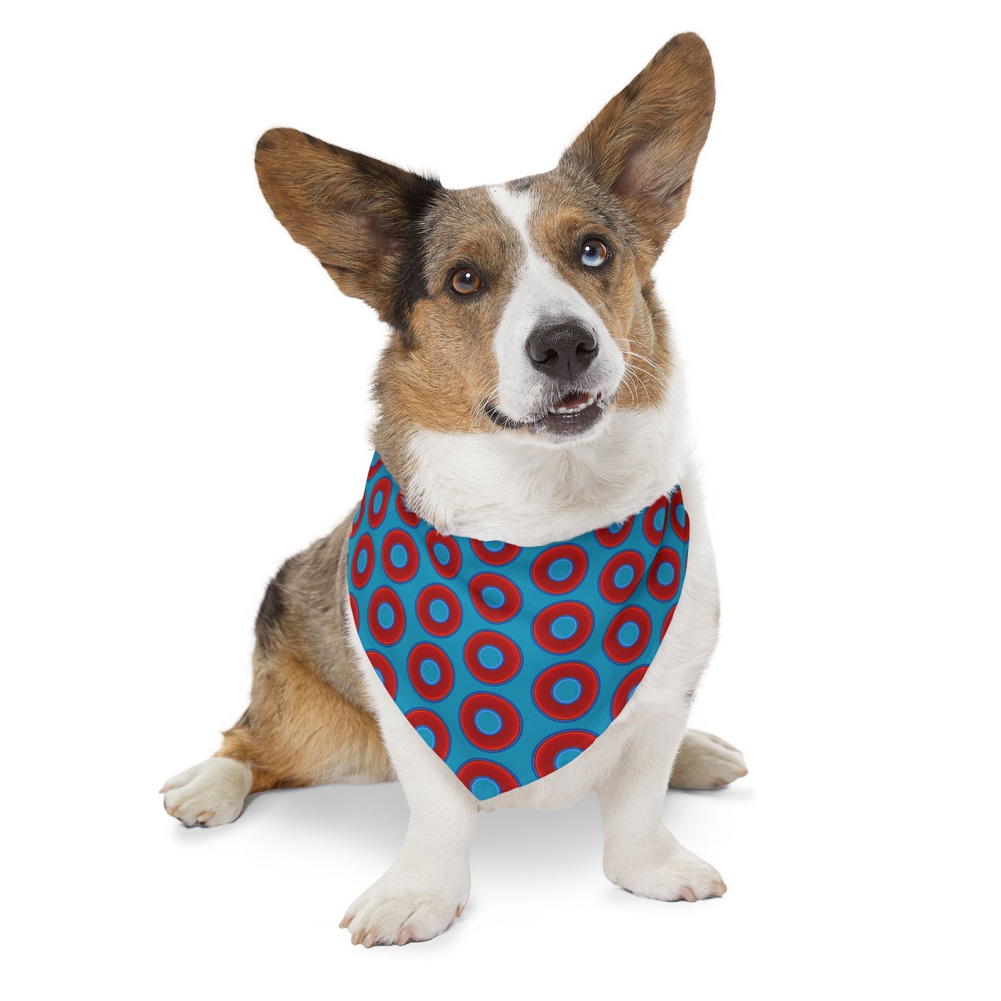 Jim's Lumpy Bandana Pet Collar - vivid red donuts w/aquamarine blue background