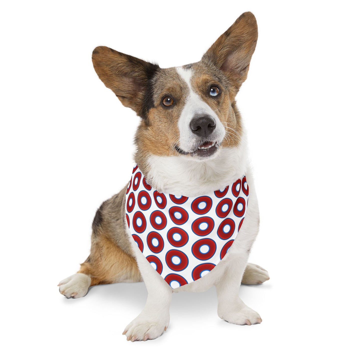 Jim's Lumpy Bandana Pet Collar - vivid red donuts w/white background