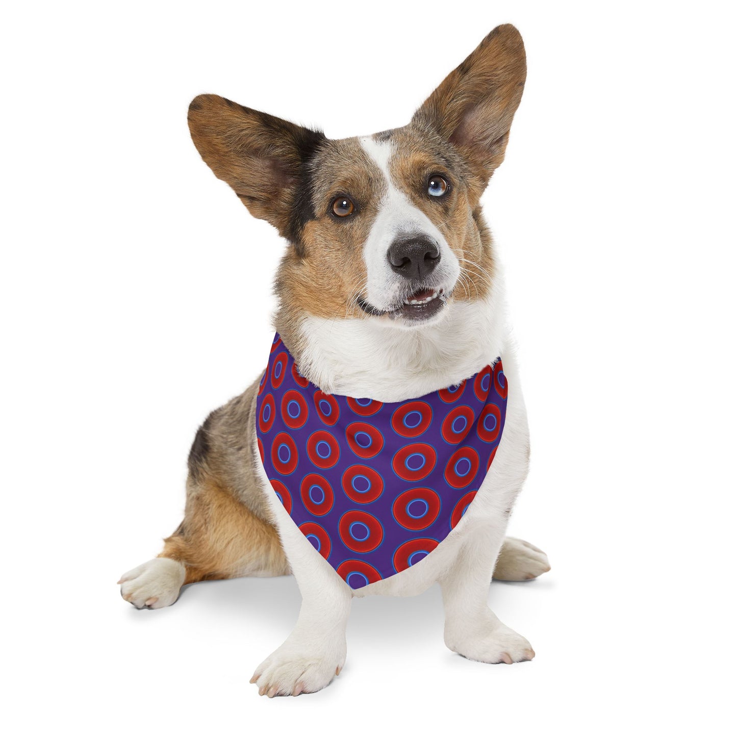 Jim's Lumpy Bandana Pet Collar - vivid red donuts w/purple background