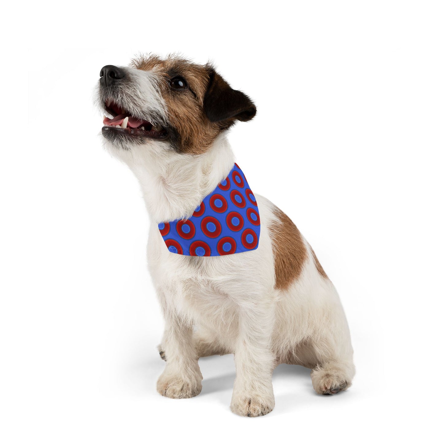 Jim's Lumpy Bandana Pet Collar - vivid red donuts w/royal blue background