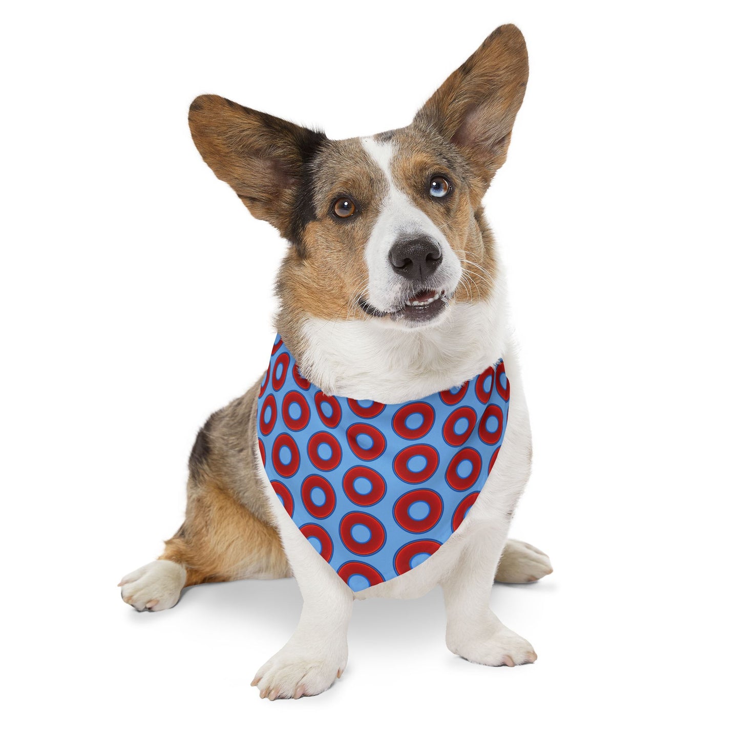 Jim's Lumpy Bandana Pet Collar - vivid red donuts w/light blue background