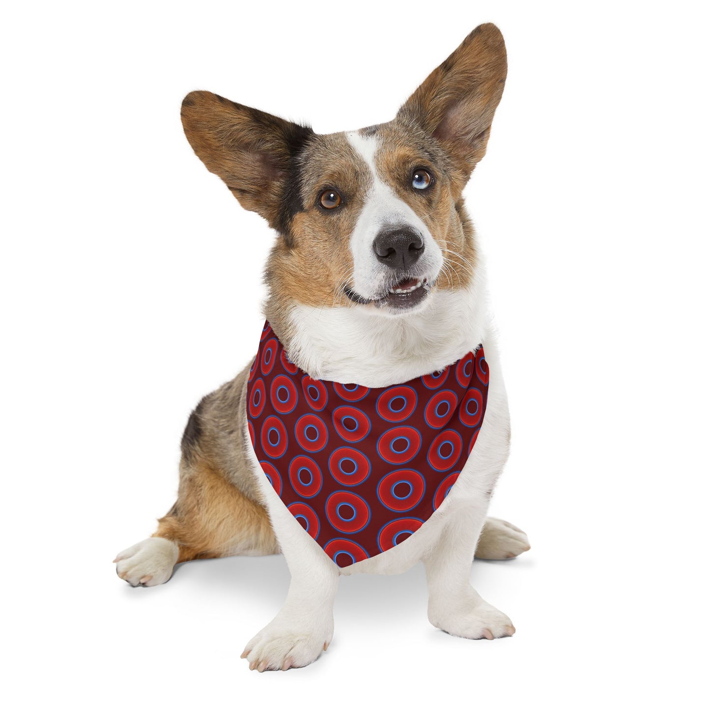 Jim's Lumpy Bandana Pet Collar - vivid red donuts w/dark red background