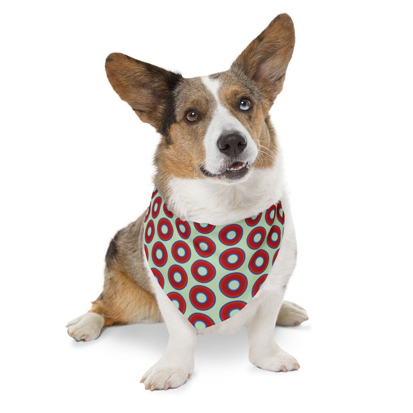 Jim's Lumpy Bandana Pet Collar - vivid red donuts w/seafoam background