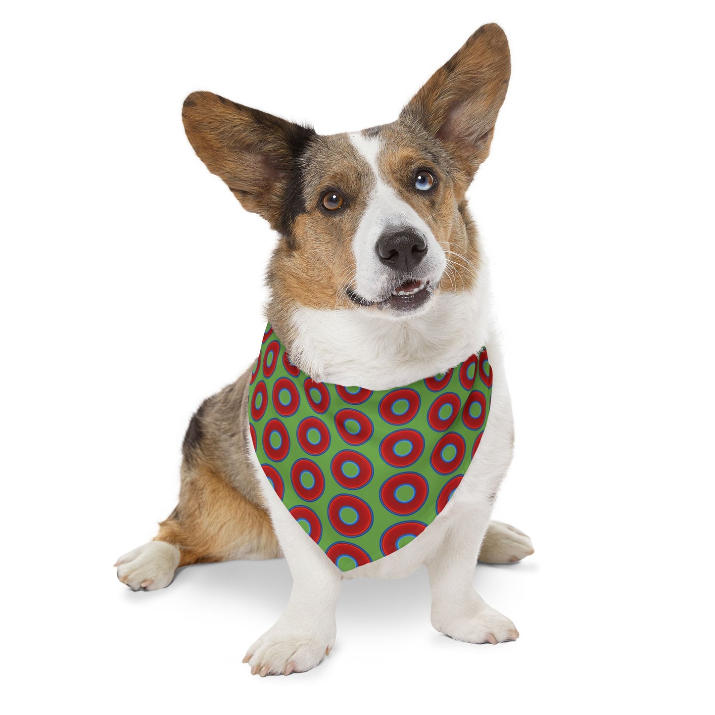 Jim's Lumpy Bandana Pet Collar - vivid red donuts w/light green background