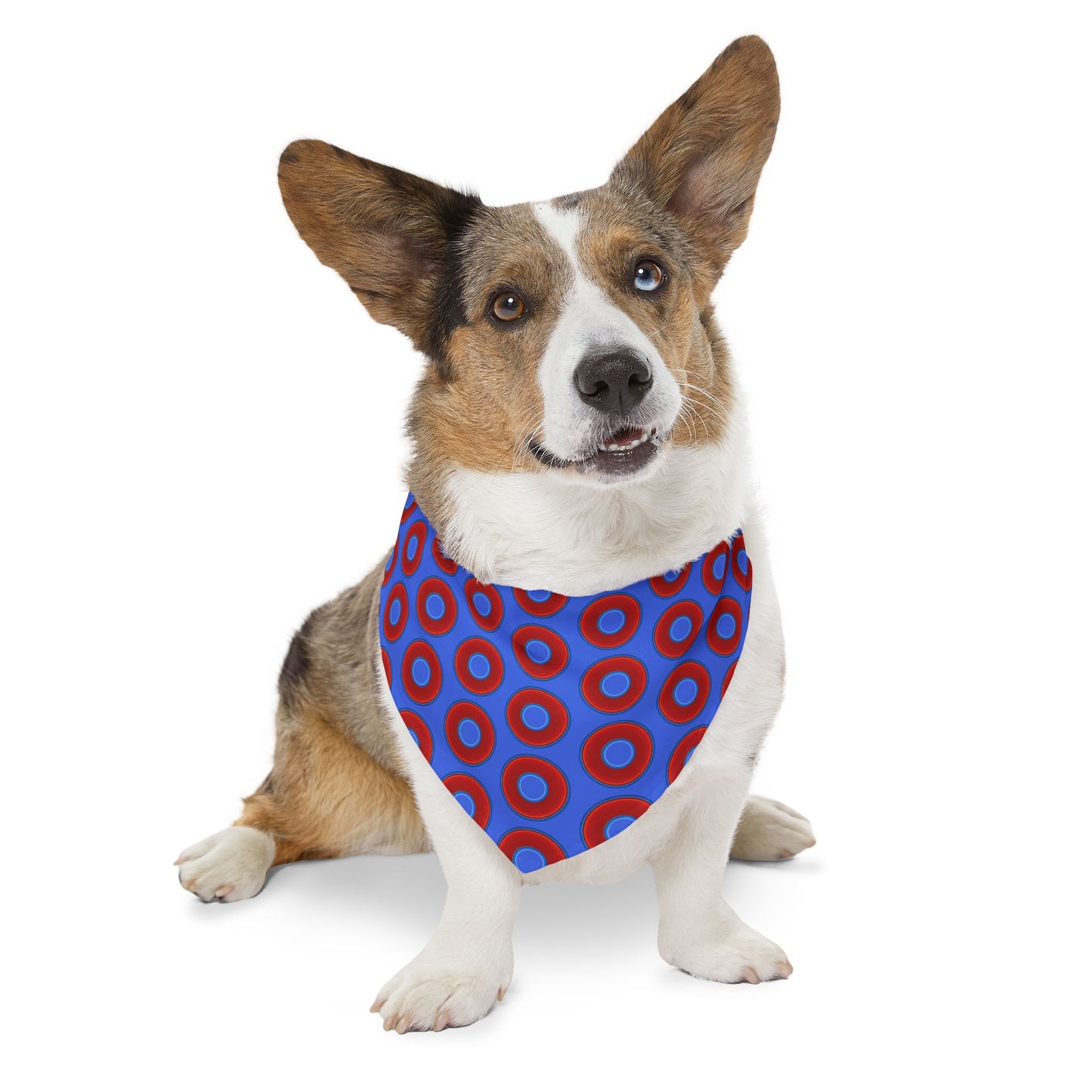 Jim's Lumpy Bandana Pet Collar - vivid red donuts w/royal blue background