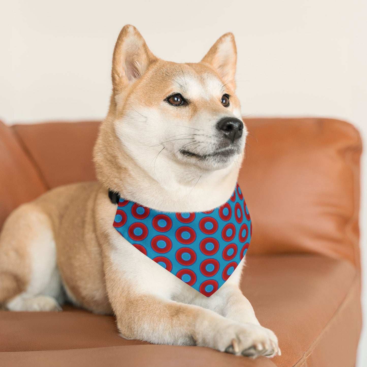 Jim's Lumpy Bandana Pet Collar - vivid red donuts w/aquamarine blue background