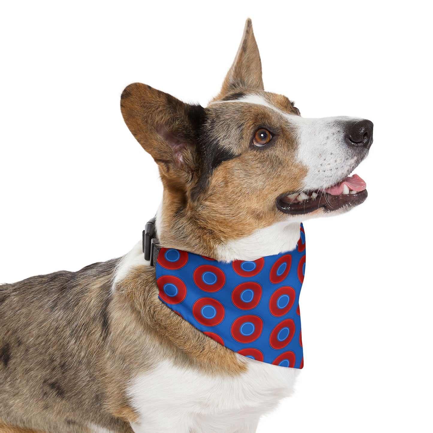 Jim's Lumpy Bandana Pet Collar - vivid red donuts w/dark royal blue background