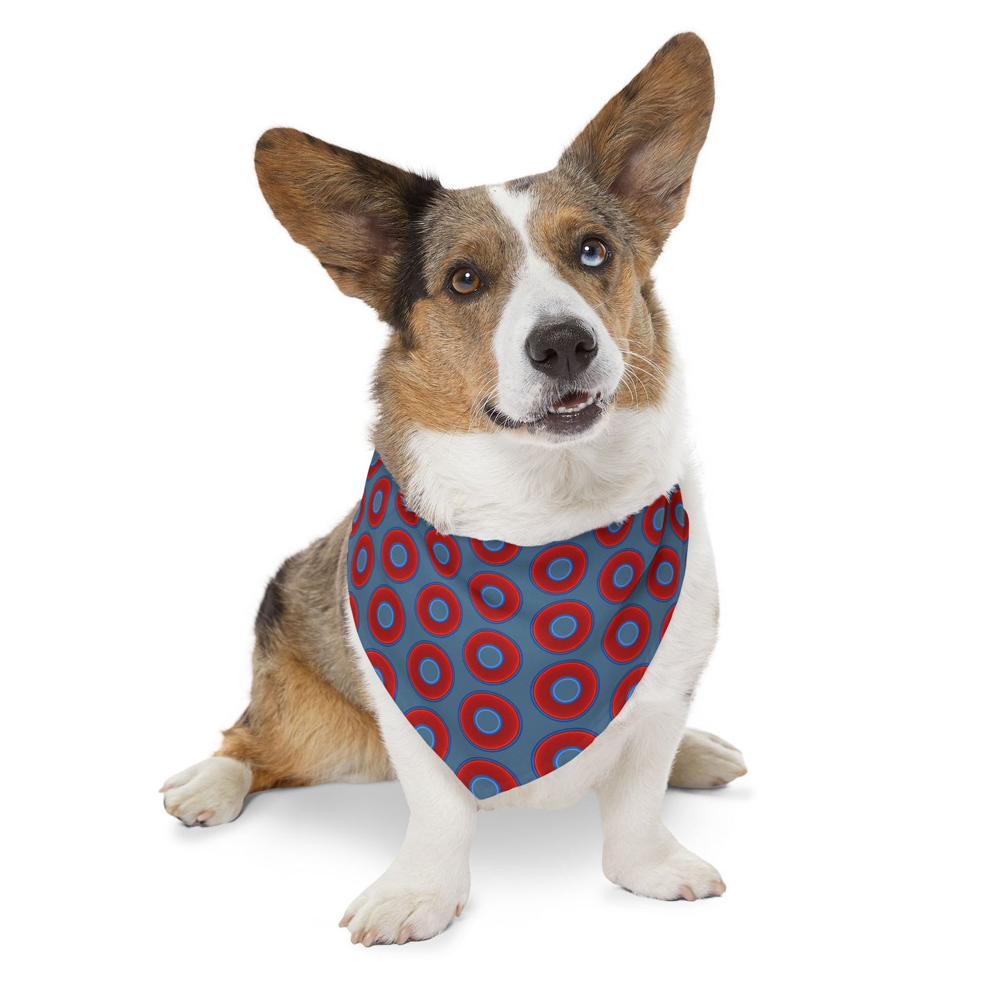 Jim's Lumpy Bandana Pet Collar - vivid red donuts w/steel blue background