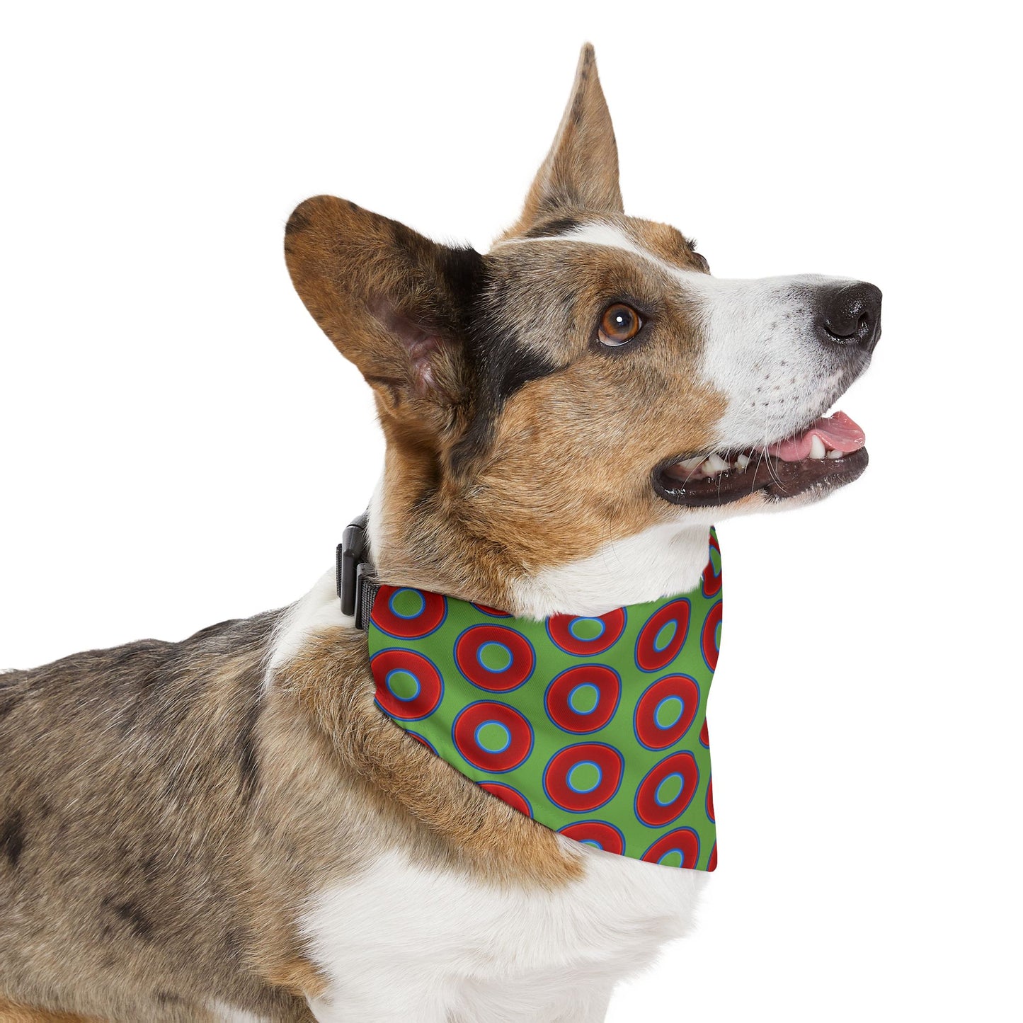 Jim's Lumpy Bandana Pet Collar - vivid red donuts w/light green background