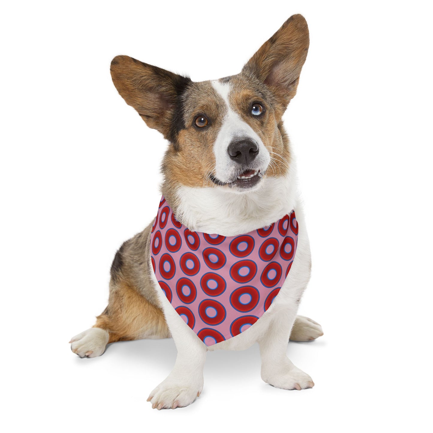 Jim's Lumpy Bandana Pet Collar - vivid red donuts w/pale magenta background