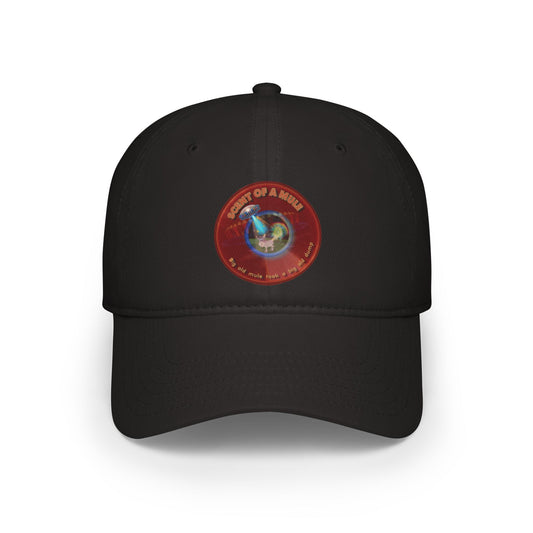 Lumpy Donut Baseball Cap - "Donut Caps? In Tomahawk County?" - variant 2 - vivid red donut w/