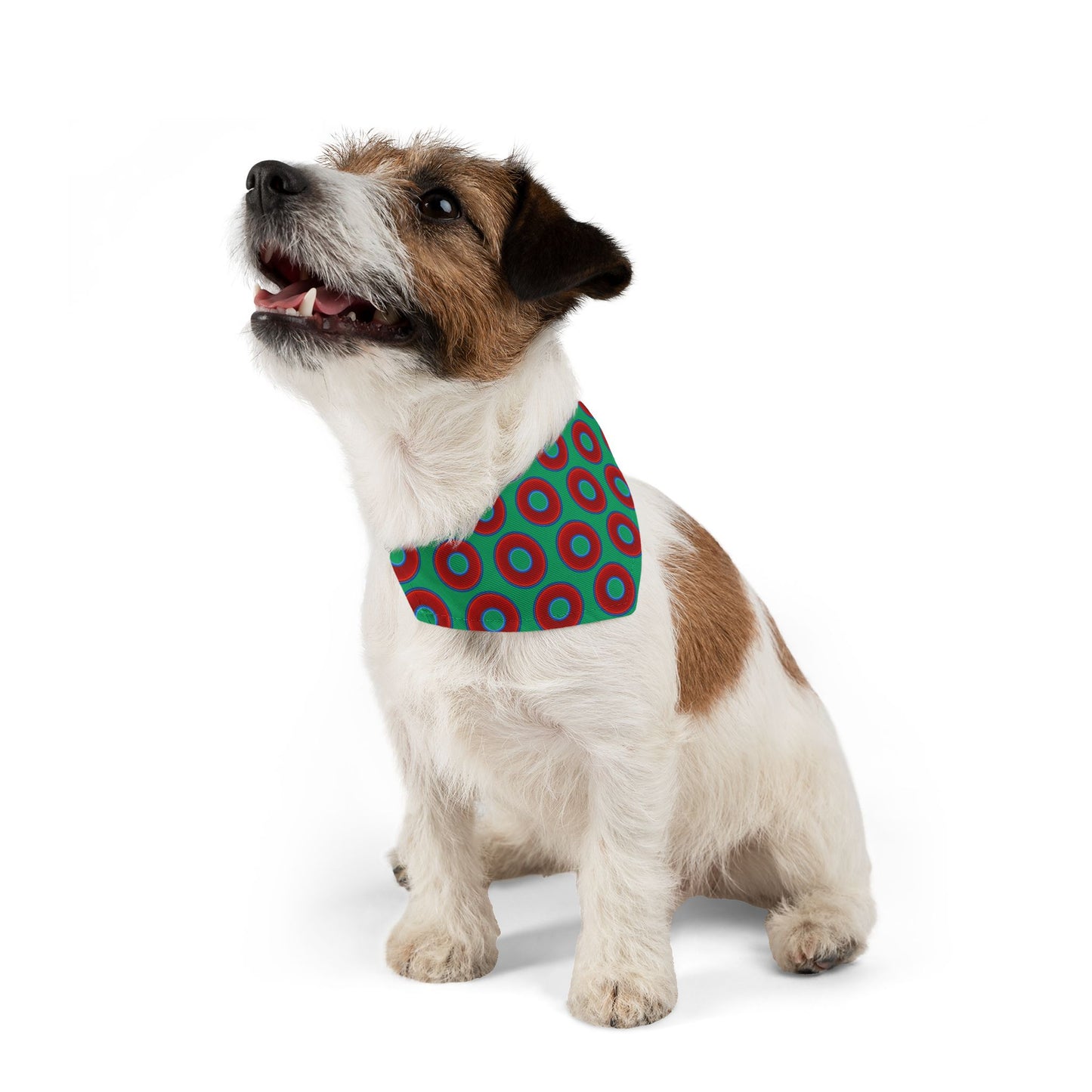 Jim's Lumpy Bandana Pet Collar - vivid red donuts w/jade green background