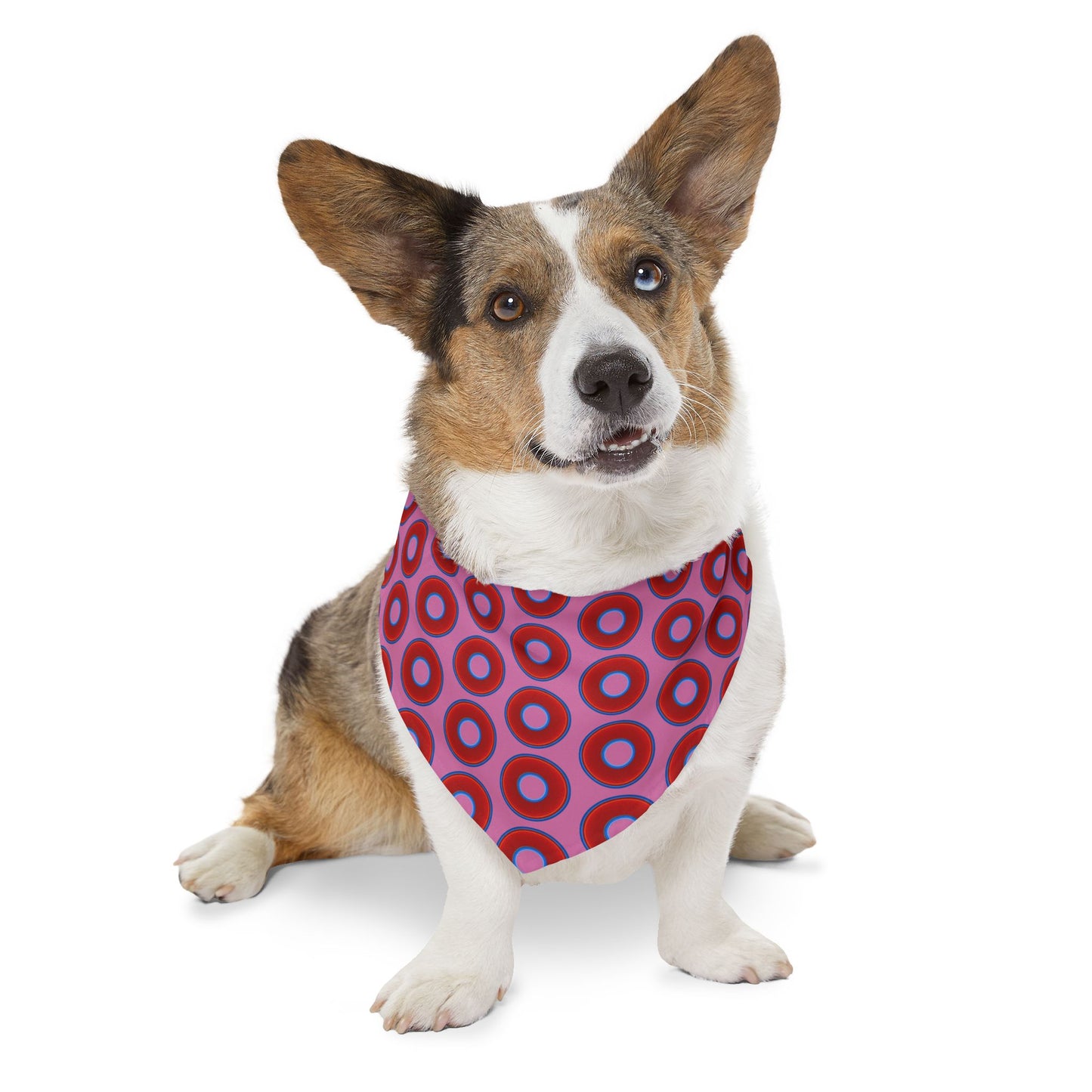 Jim's Lumpy Bandana Pet Collar - vivid red donuts w/pink background