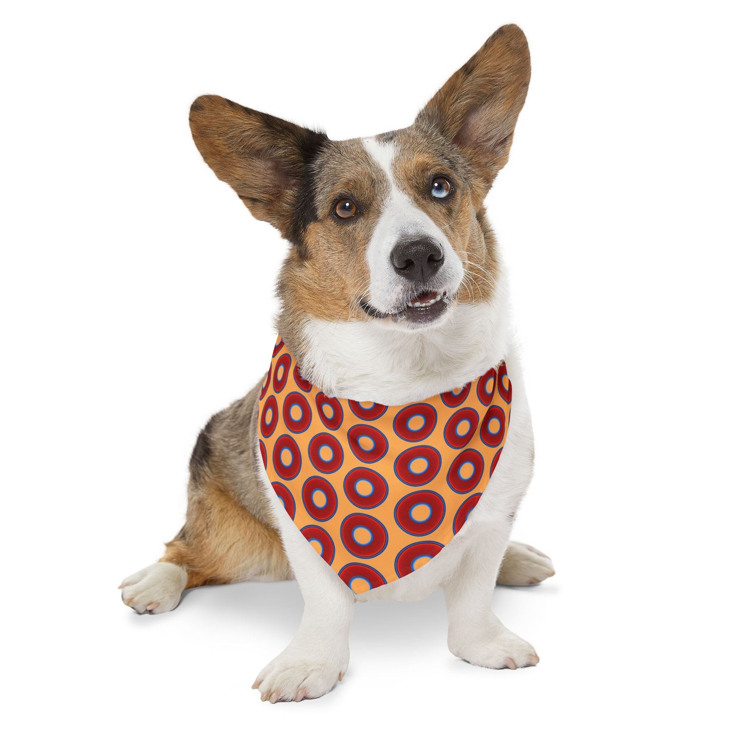 Jim's Lumpy Bandana Pet Collar - vivid red donuts w/creamsicle orange background