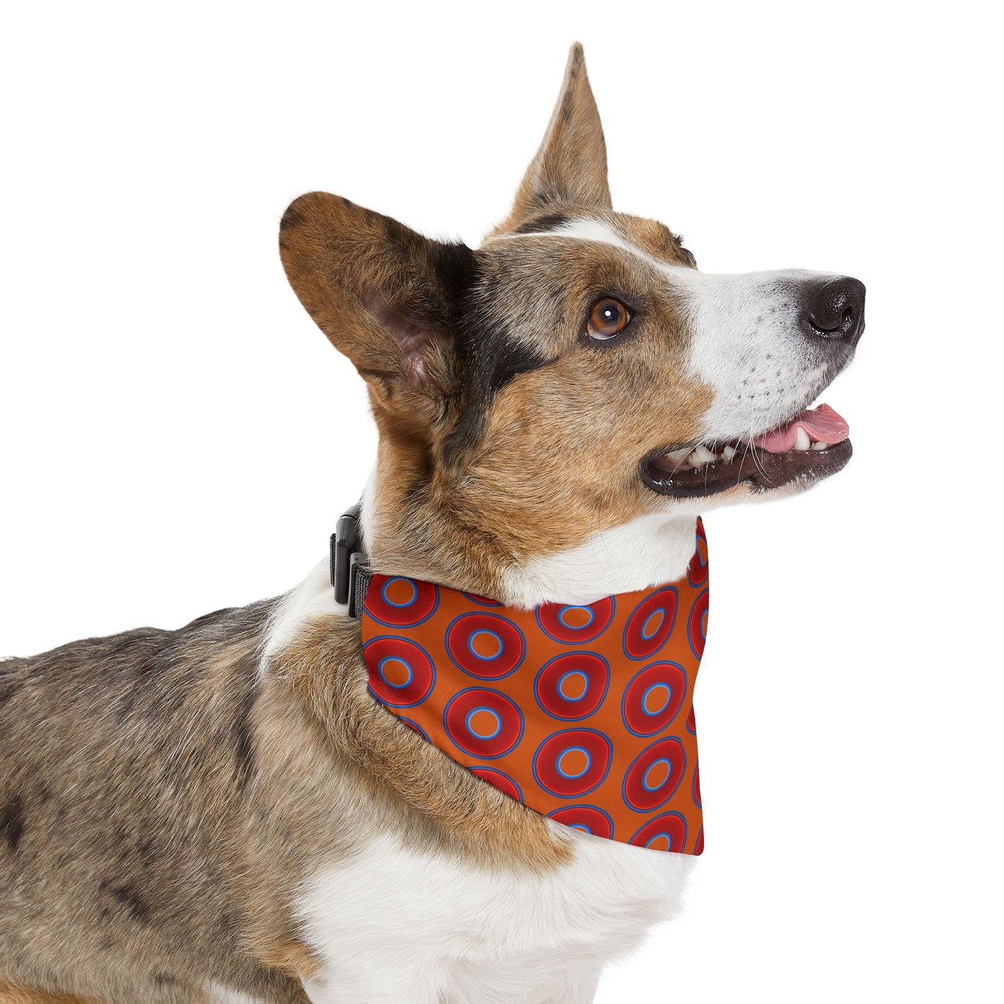 Jim's Lumpy Bandana Pet Collar - vivid red donuts w/dark orange backgound