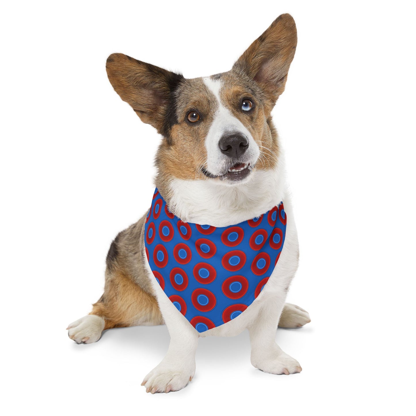 Jim's Lumpy Bandana Pet Collar - vivid red donuts w/dark royal blue background