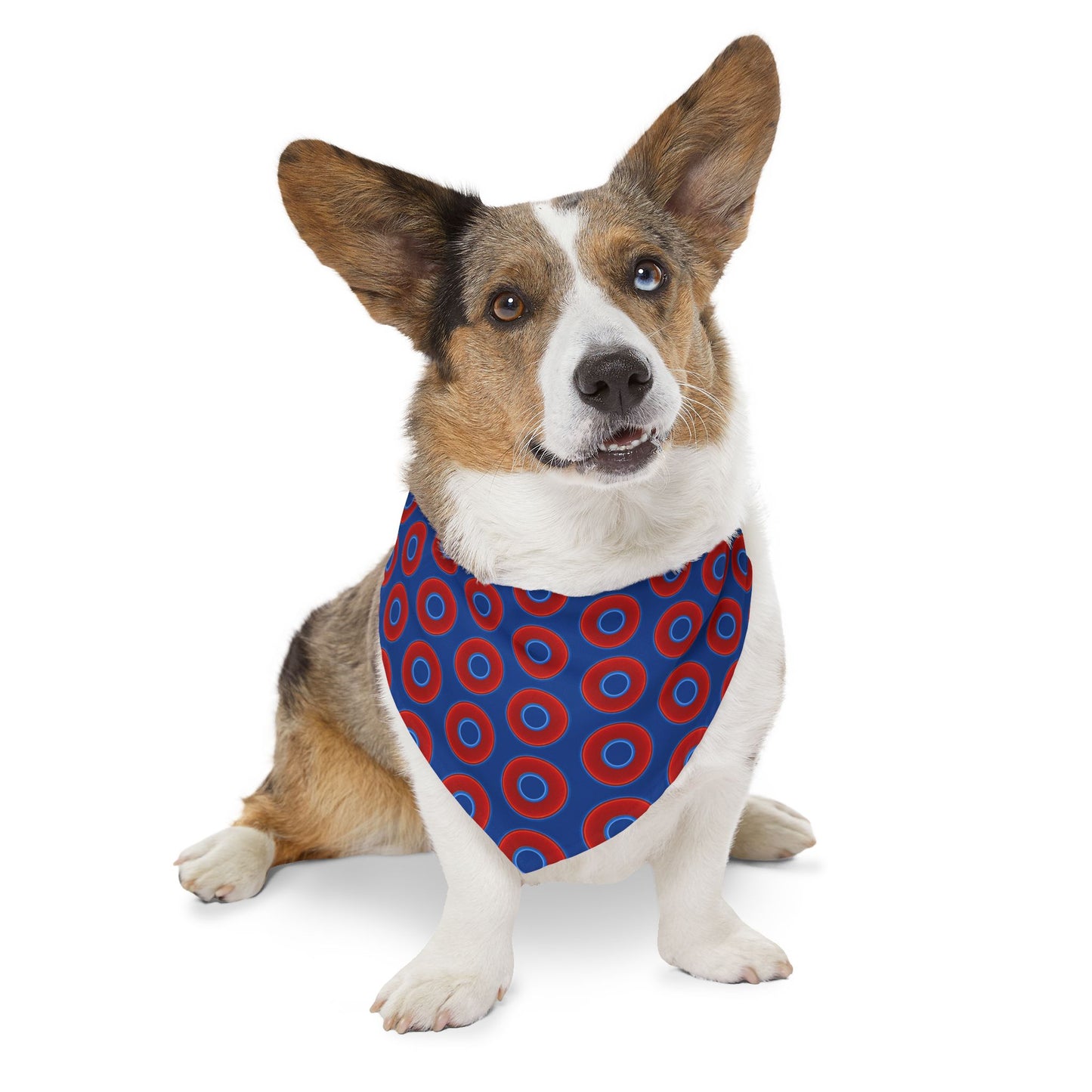 Jim's Lumpy Bandana Pet Collar - vivid red donuts w/dark blue background