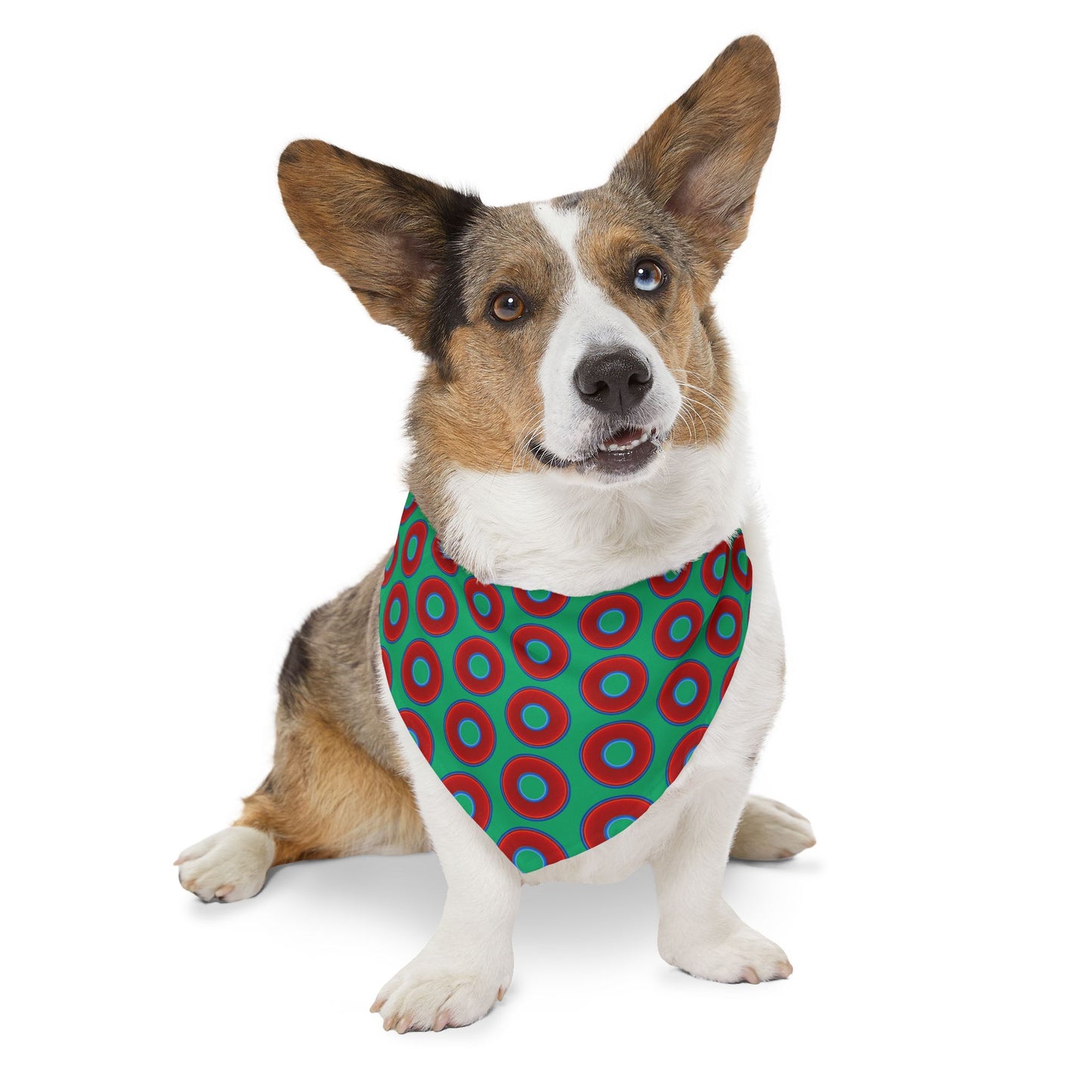 Jim's Lumpy Bandana Pet Collar - vivid red donuts w/jade green background