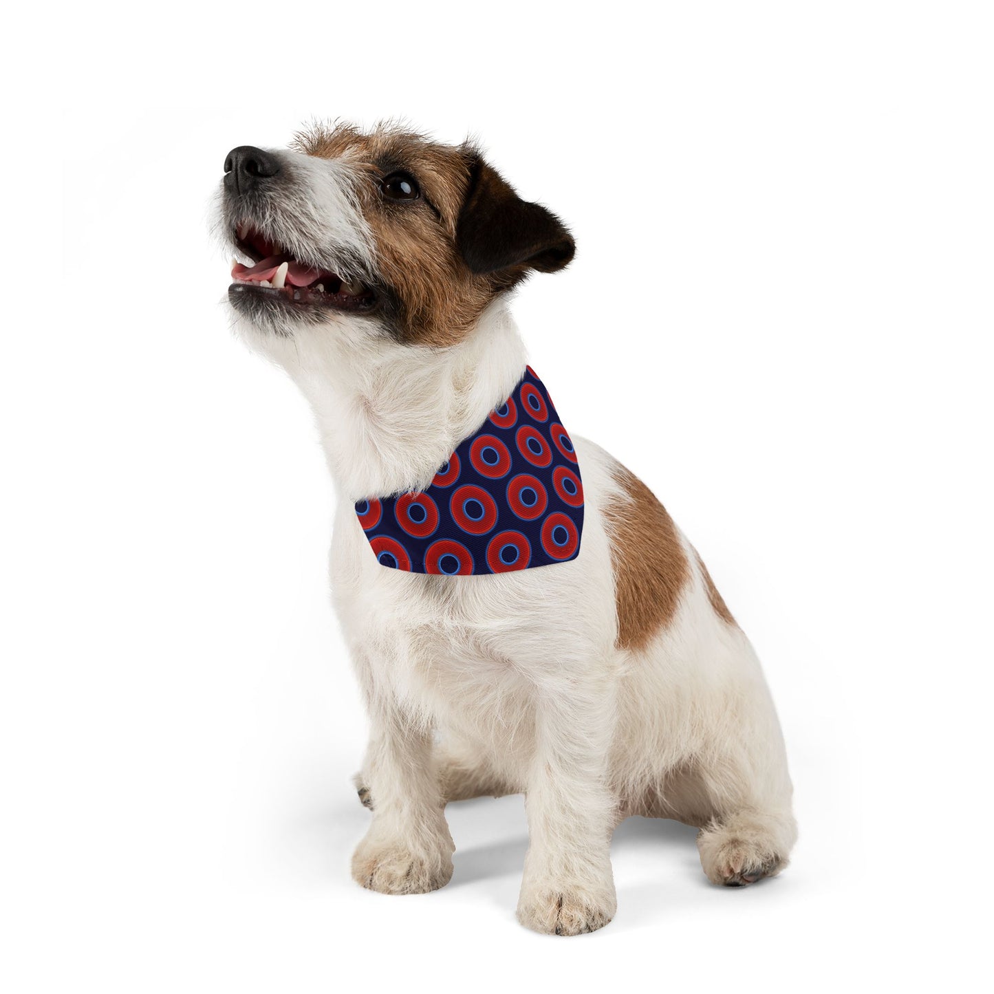 Jim's Lumpy Bandana Pet Collar - vivid red donuts w/midnight blue background