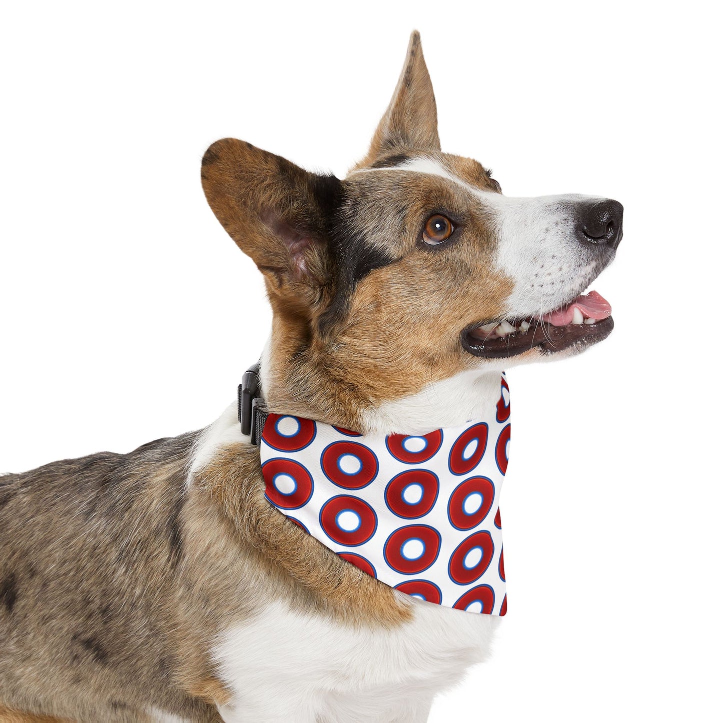 Jim's Lumpy Bandana Pet Collar - vivid red donuts w/white background
