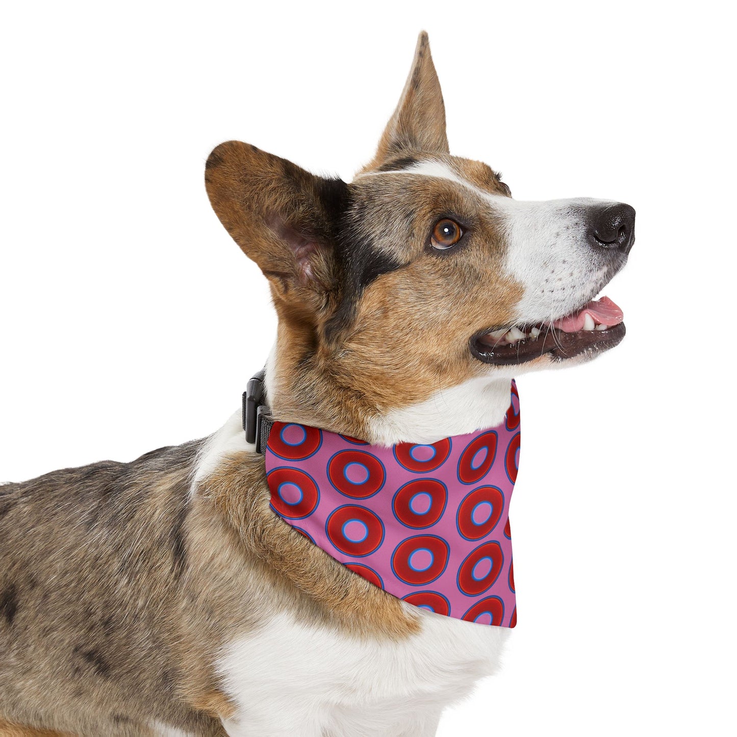 Jim's Lumpy Bandana Pet Collar - vivid red donuts w/pink background