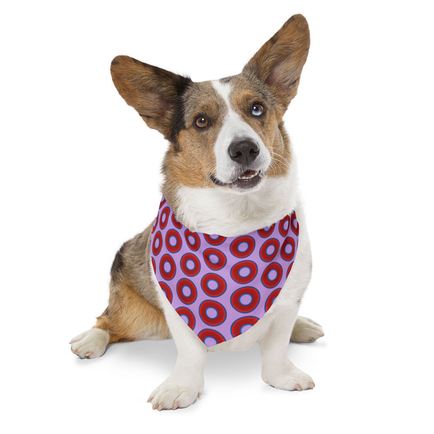 Jim's Lumpy Bandana Pet Collar - vivid red donuts w/wisteria purple background