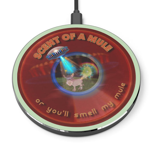 The Flow - Wireless Lumpy Donut Chargers - "Wireless Donut Chargers? In Tomahawk County?" - vivid red donut w/seafoam background - variant 2