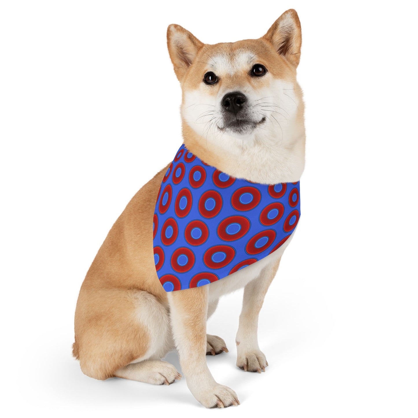 Jim's Lumpy Bandana Pet Collar - vivid red donuts w/royal blue background